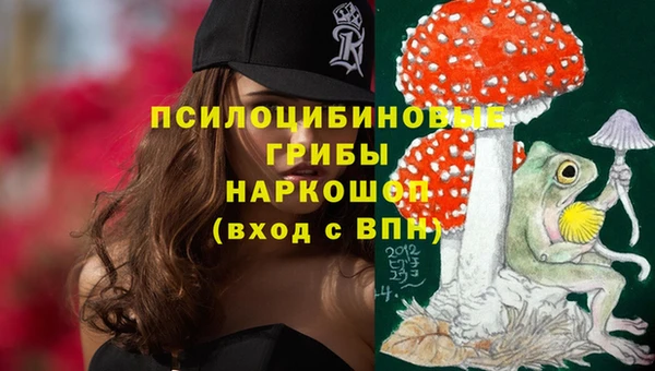 метадон Магас